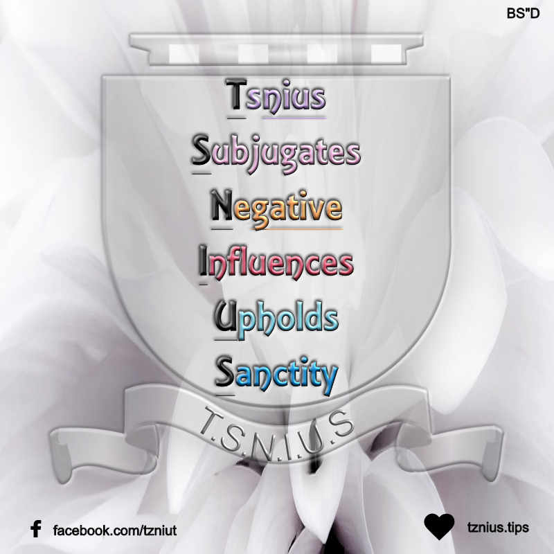 Rebbetzin Batsheva Kanievsky Tznius Tips